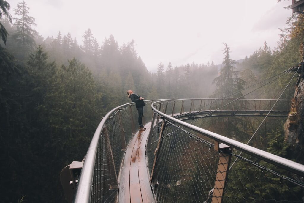 Photo Suspension system